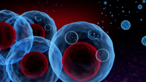 cellule exosomecoccique